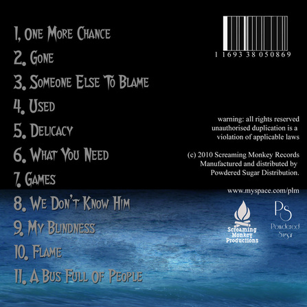 Fake album rear cover with ocean reflecting the moon and 11 songs